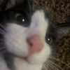 gilly0086