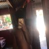 jony.silva868