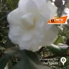 minh.thng.trnh3