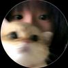 rapaa_113