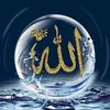 wahidin7436