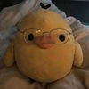 _.alyzkorr.duck