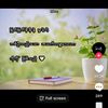 su.latt1579
