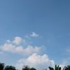 windya4290