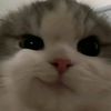 nanazz.ruruzz