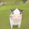 taptanhrv_1