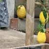cesontmesgrosseyeukfacho