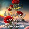 user2442492274536