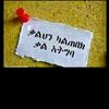 wudyalew.miheret
