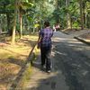 ziq_ziq8