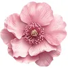 lamaisoncamelia