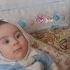 reza.ghanaati