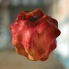 easapiens