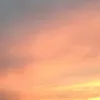 4.7.20025