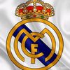 user78634223480242