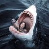 swim2336
