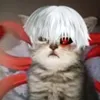 fedorxqjalm