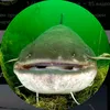 mda_ckychno