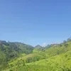 giangf_uy06