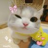 sadu_bbz_