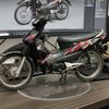 rasyad242