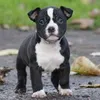 nora.ch464