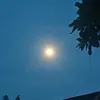 mt120510