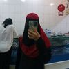 sharr500