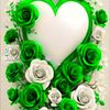 user1030554976251