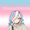 transforlife15