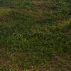 malikibrahim_015