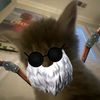 rau_kalsel123