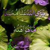 user1587261811202