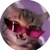 yr7freek9