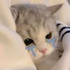 tantan_yayaya