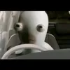 rabbidcar