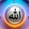 user7286639066110