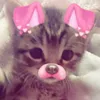 izzybizzywizzy23