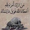 bn_6y6