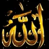 suleman.luhib