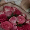 mayar4591