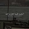user8126654612442