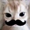 bjorkness