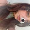 braatz_xzz