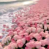 lucie.bzn