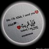 antilhayat0