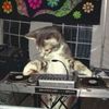 deejaylane