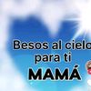 user627262828826282