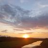 mrill_8