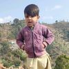 shuraimbuddakhel